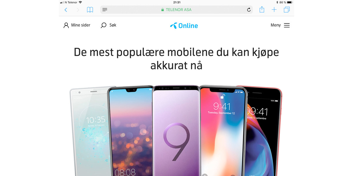 Nettsider lastes kjapt inn, og ser bra ut på den krystallklare iPad-skjermen.